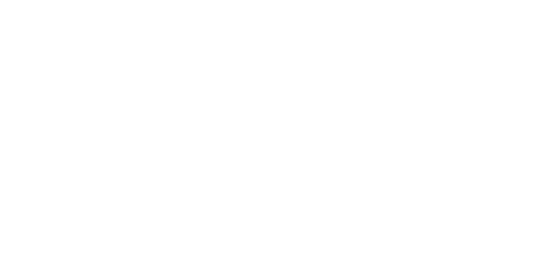 LOGO Blue Moon