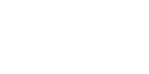 LOGO Pentair